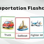 Transportation Flashcards